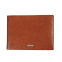 Cerruti1881,  , cepu01266m-brown